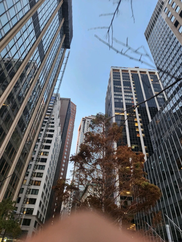 Image uploaded by Matthew