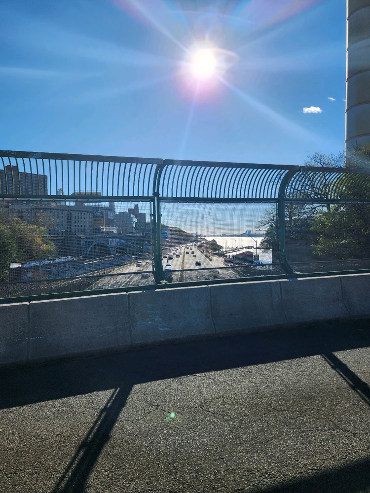 Image uploaded by Matthew