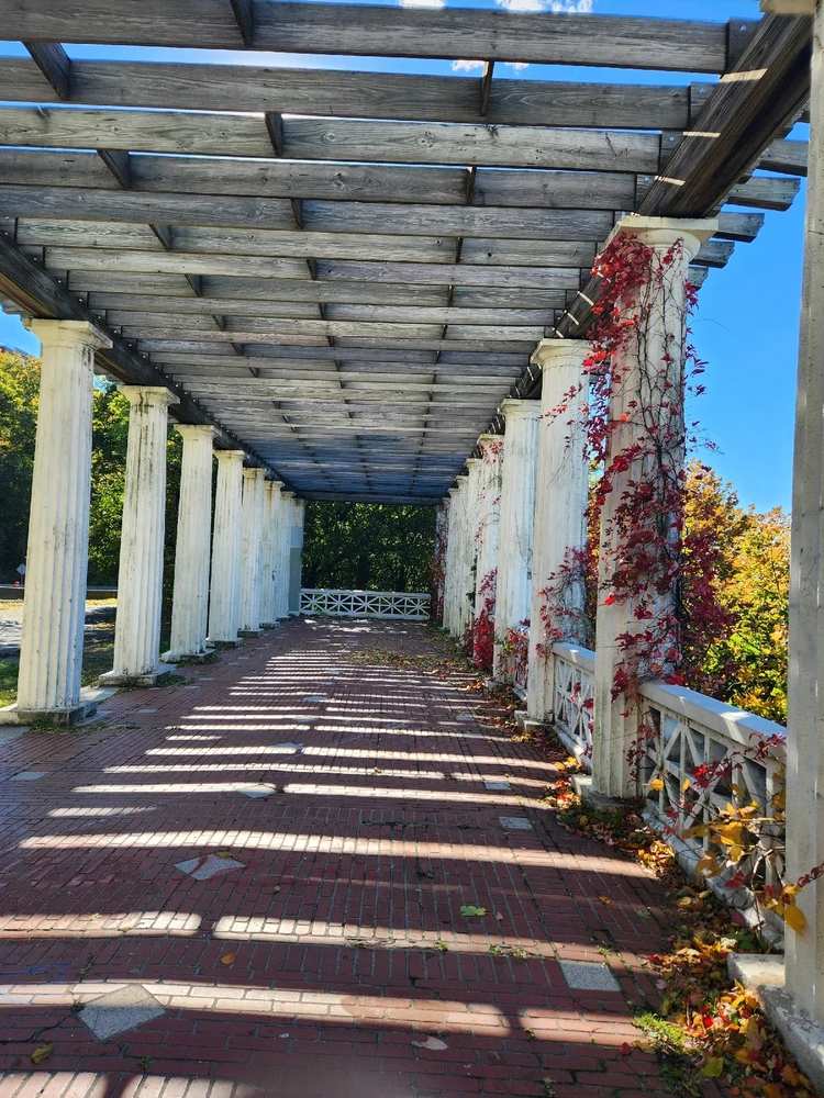 Image uploaded by Matthew