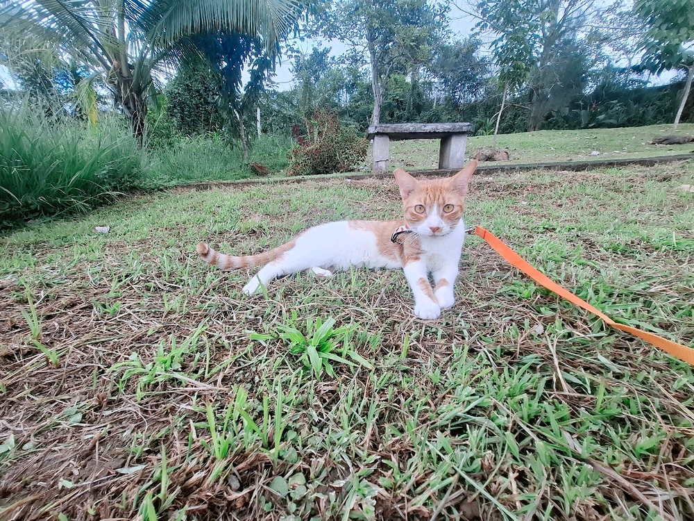 GIF subido por Katherinne