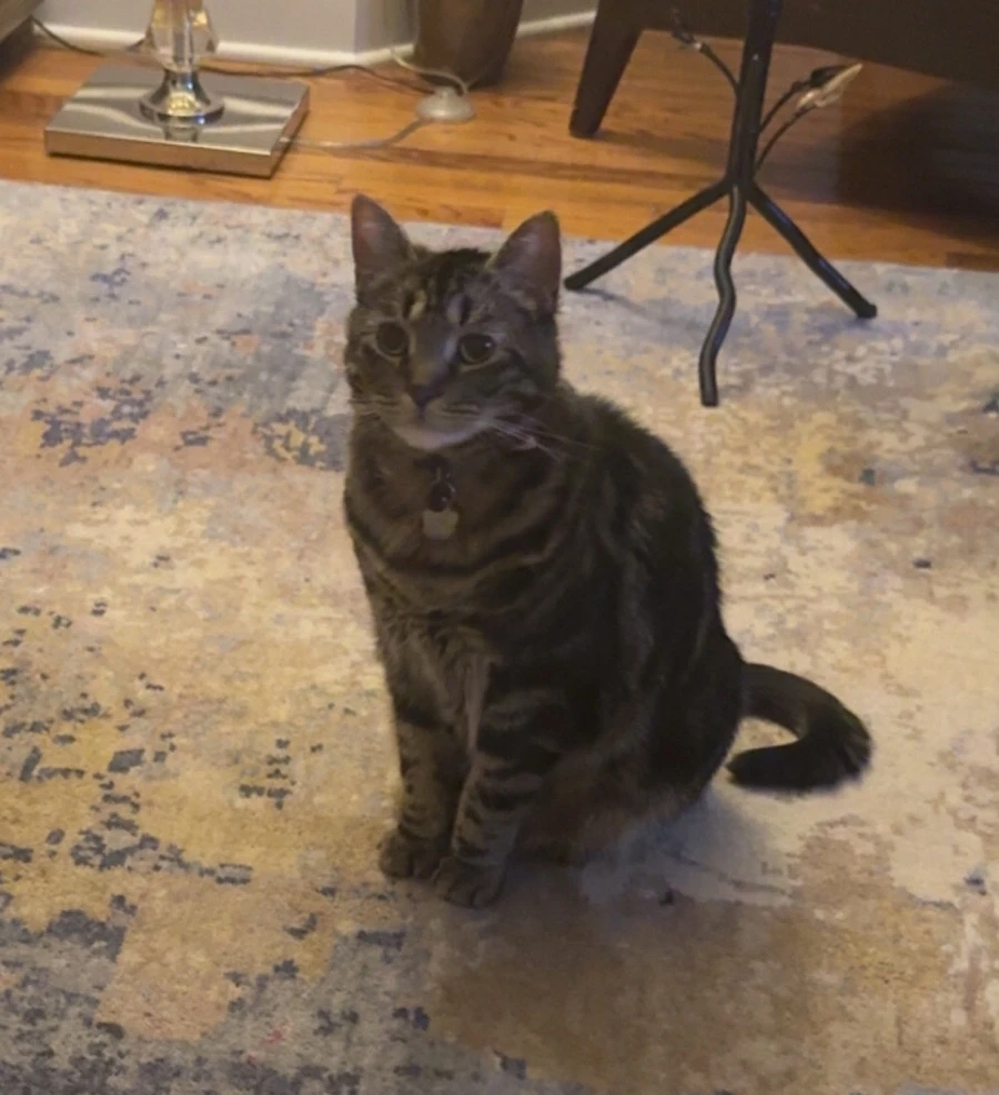 GIF uploaded by Bobby