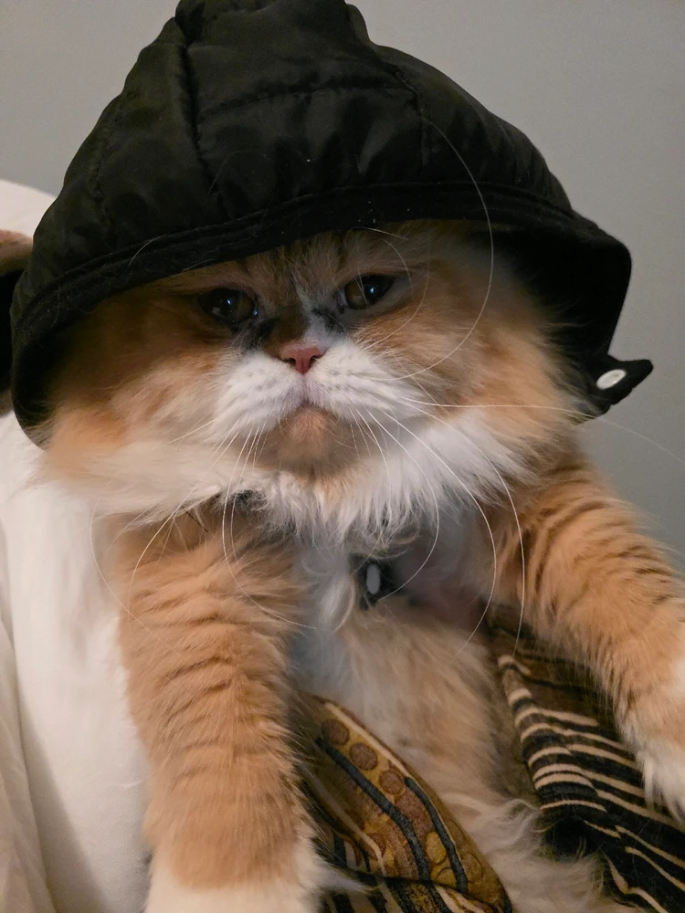 GIF uploaded by Parisa