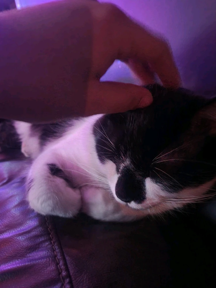 GIF subido por Alexis Ricardo