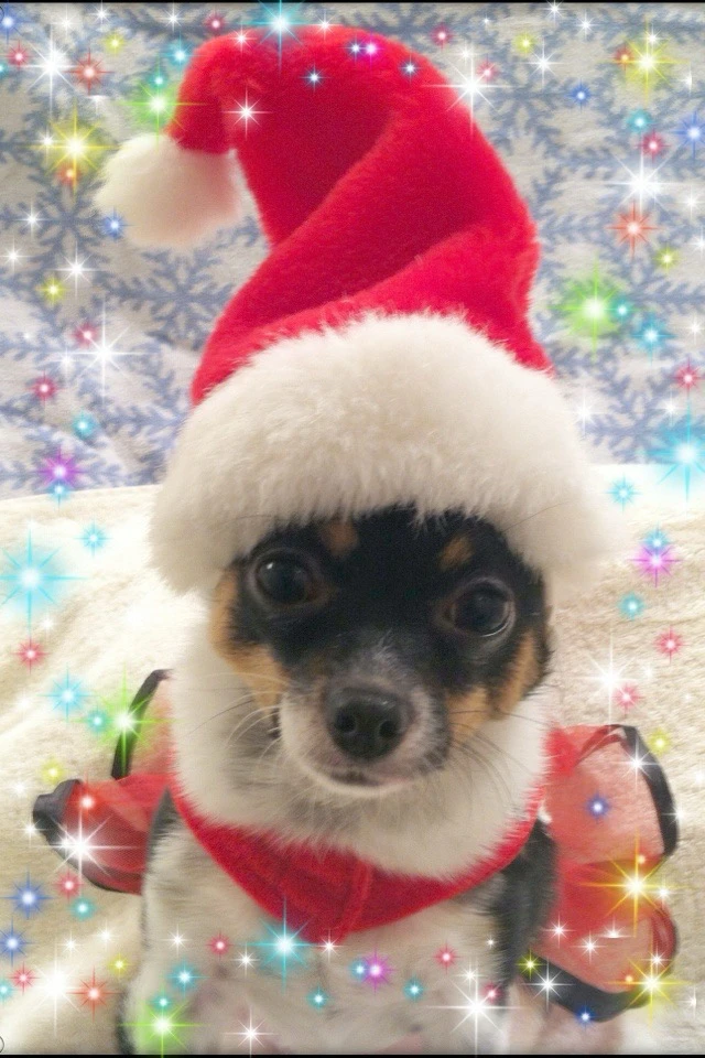 Imagen subida por Ani