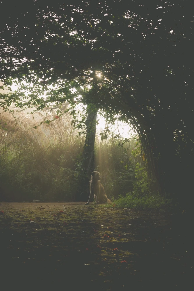 GIF uploaded by Shaz