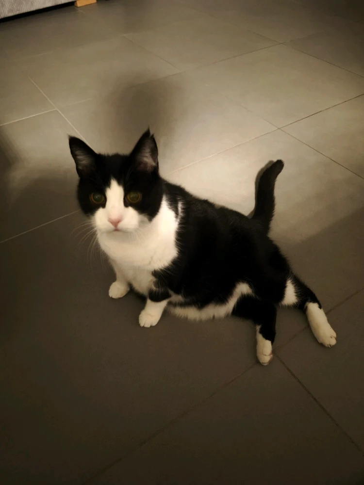 GIF hochgeladen von Andy