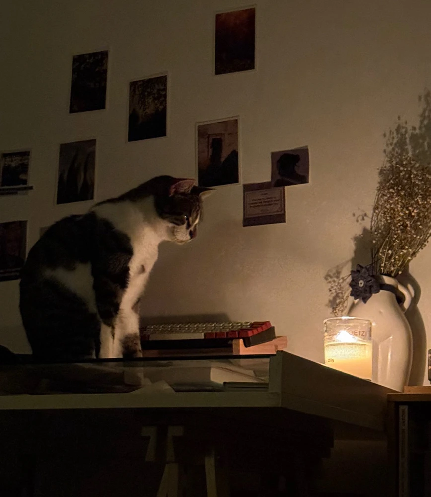 GIF uploaded by Veera