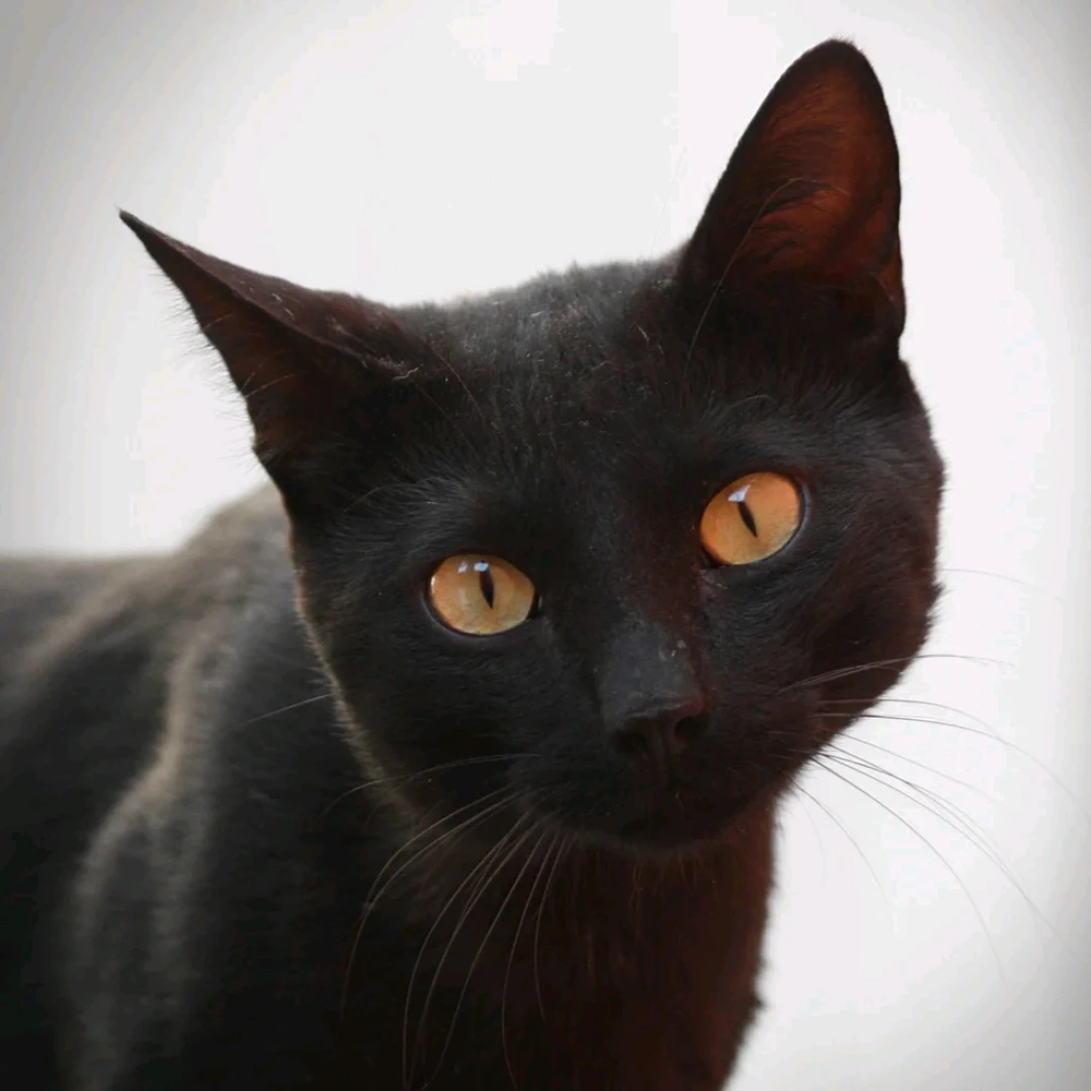 Imagen subida por Sofi