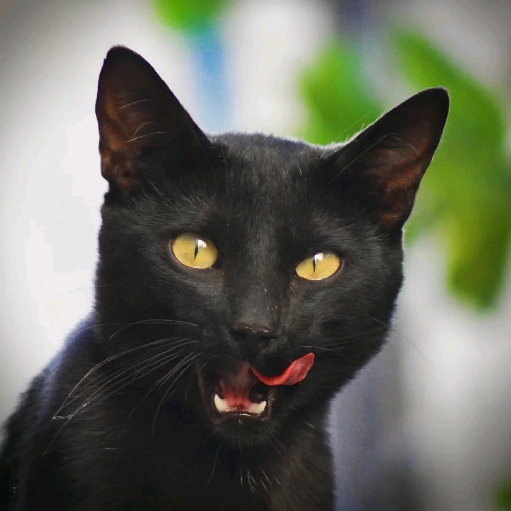 Imagen subida por Sofi