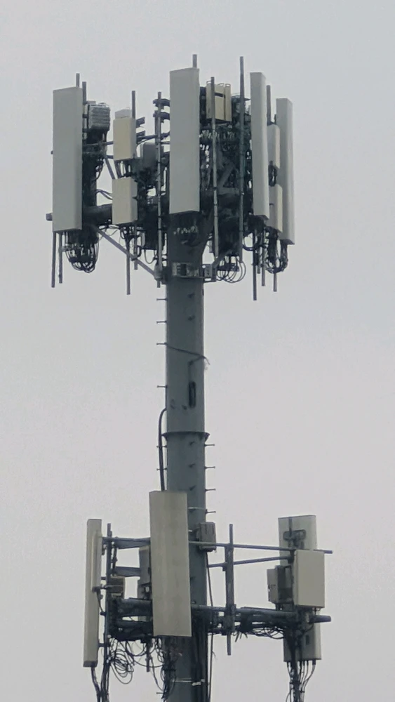 Image uploaded by Julian R