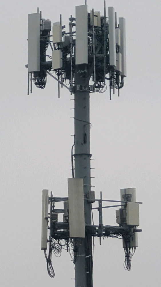 Image uploaded by Julian R