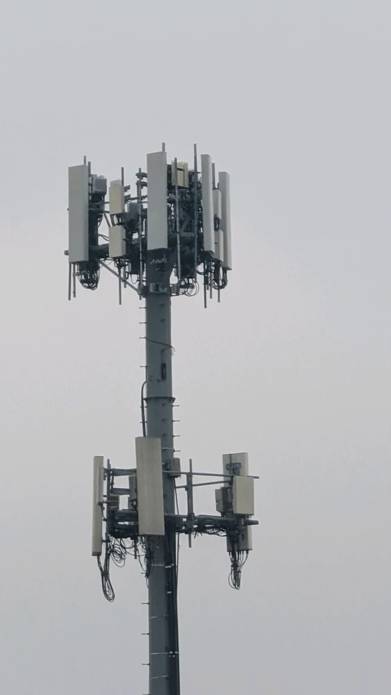 Image uploaded by Julian R