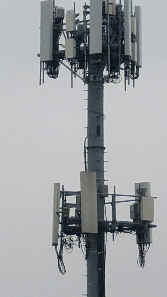 Image uploaded by Julian R