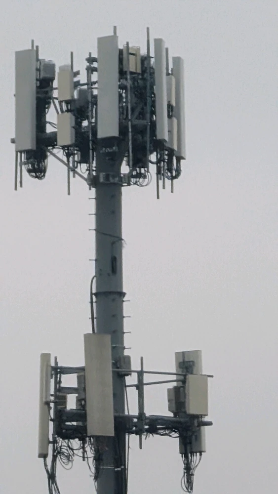 Image uploaded by Julian R