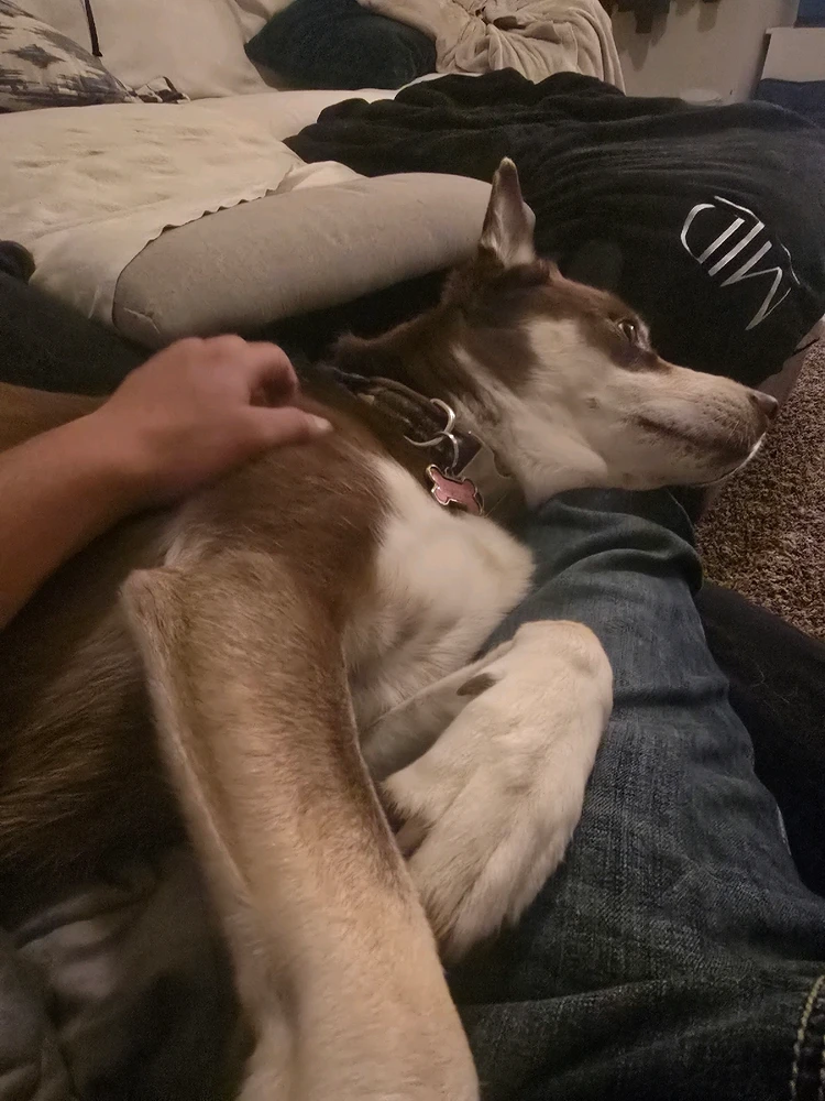 GIF uploaded by William