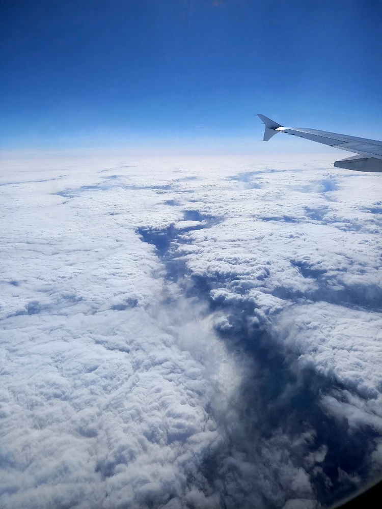 GIF качен от Zdravko