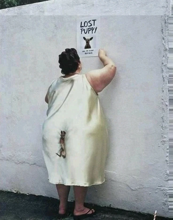 GIF uploaded by Hani