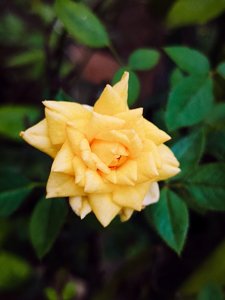 Image uploaded by sebastian