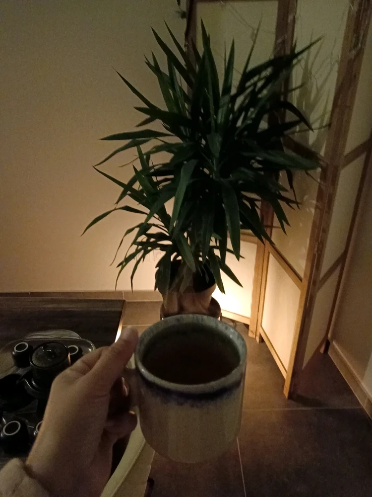 Image ajoutée par Saffiya