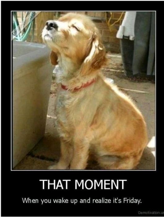 GIF diunggah dening Suspicious-potato