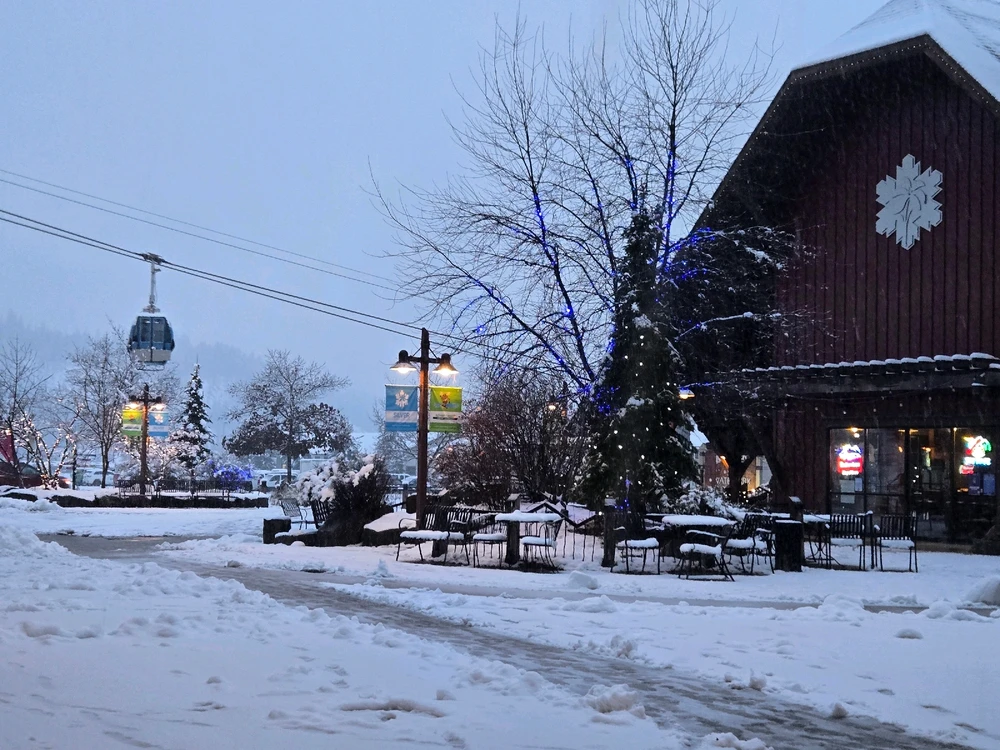 Image uploaded by Cody L