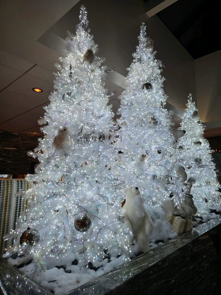 Image uploaded by Cody L