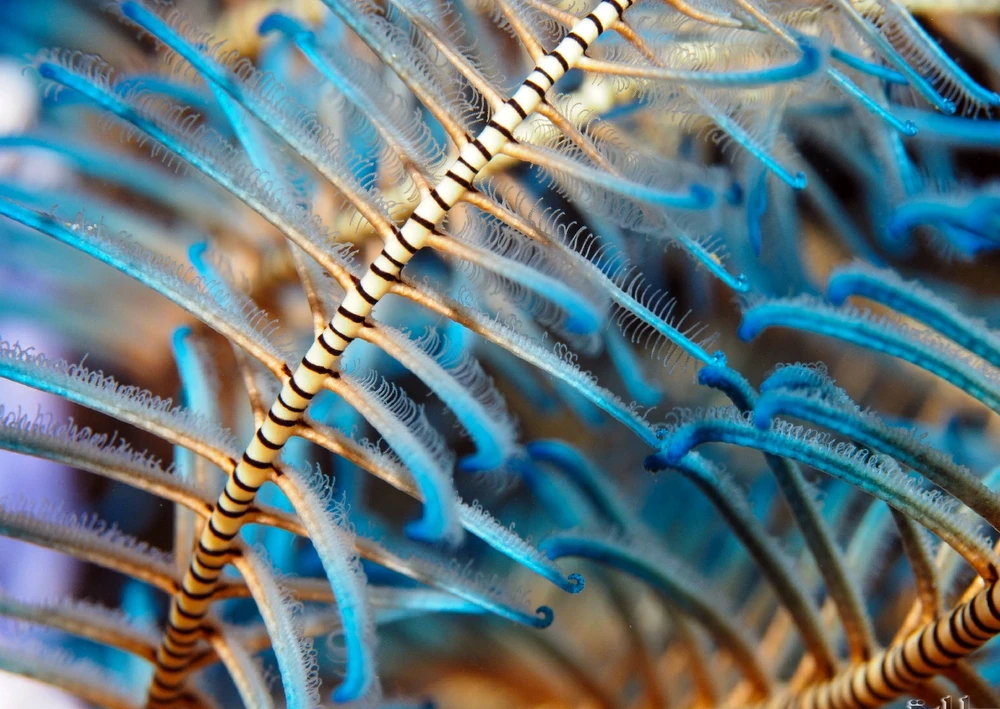 GIF uploaded by Kinetic