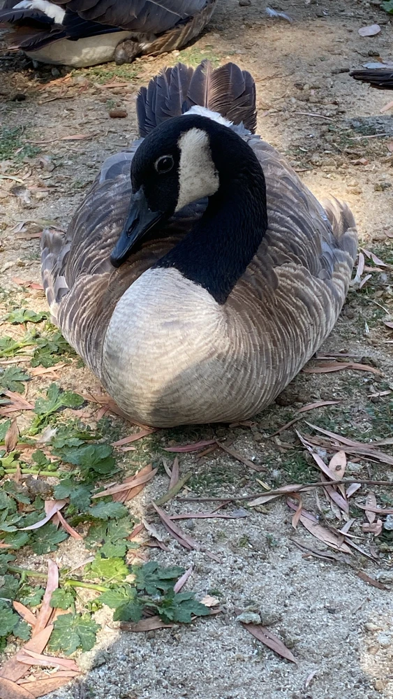 Image uploaded by Javier