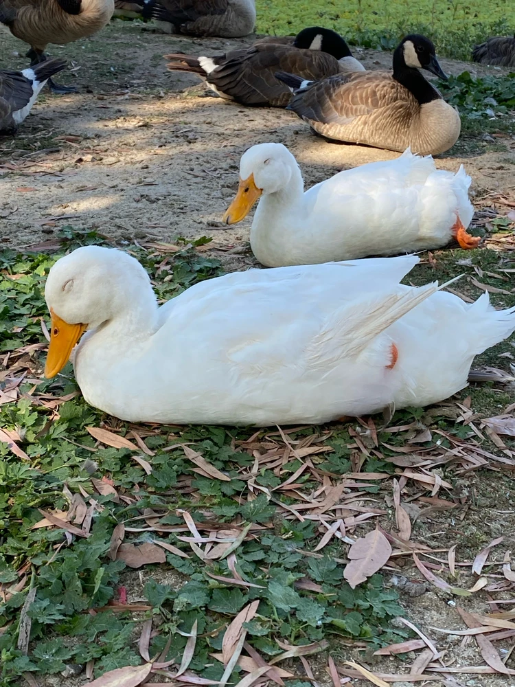 Image uploaded by Javier