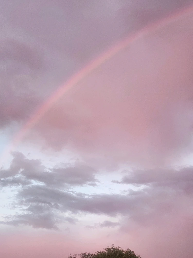 Image uploaded by Adrianna