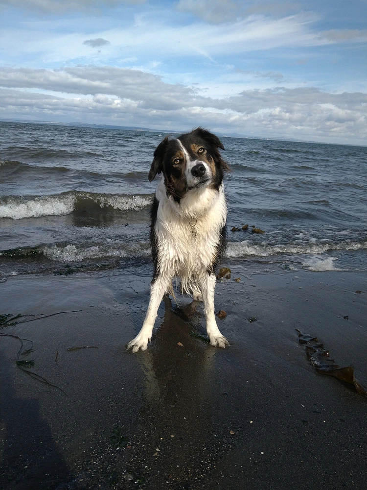 GIF uploaded by Colin