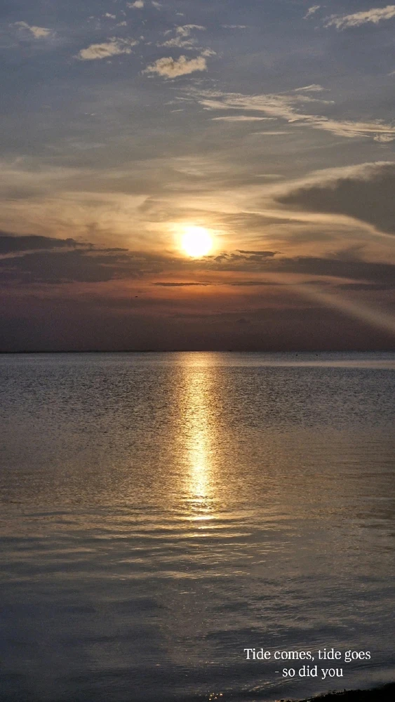 GIF uploaded by Mochicuu