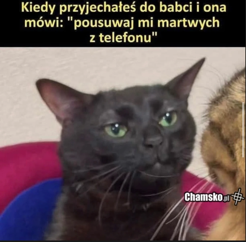 GIF dodany przez Konrad