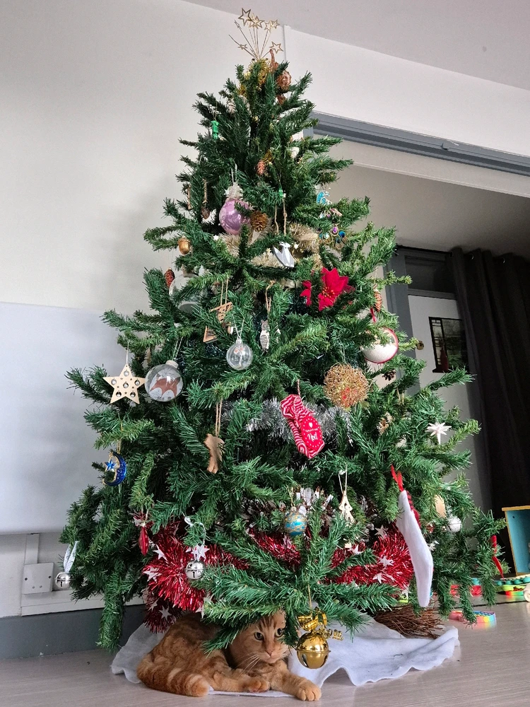 GIF ajouté par Stef