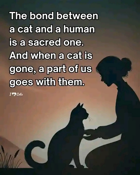 GIF uploaded by Sara