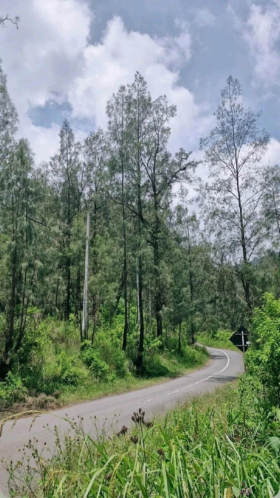 GIF uploaded by Mochicuu