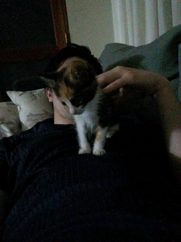 GIF subido por Nicolás