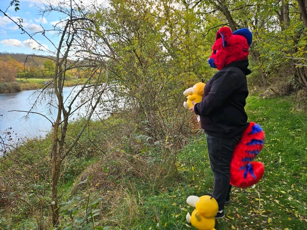 Bild hochgeladen von Dennis