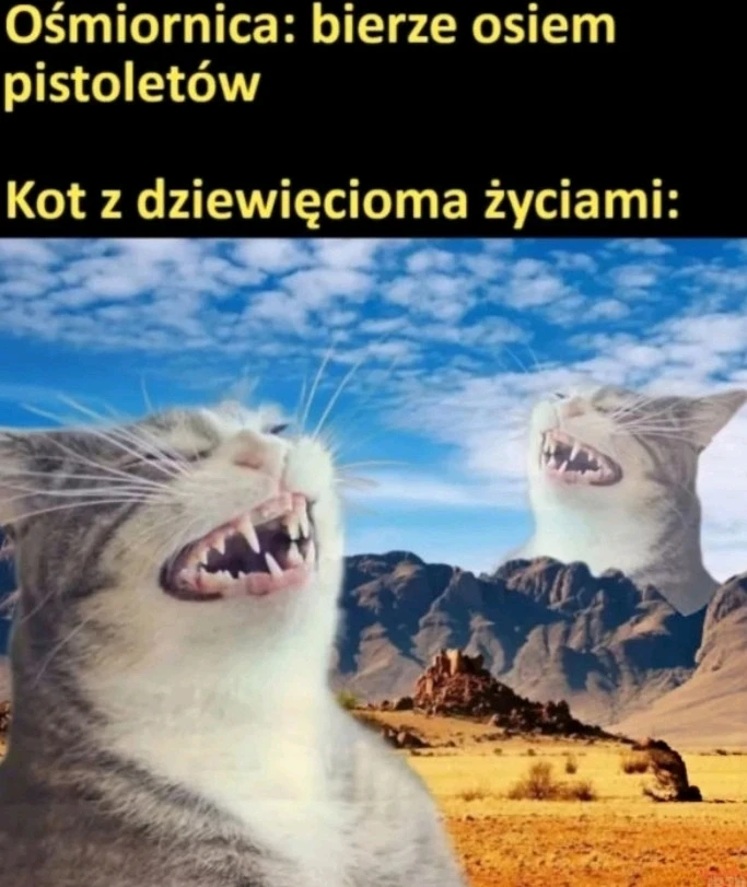 GIF dodany przez Łukasz