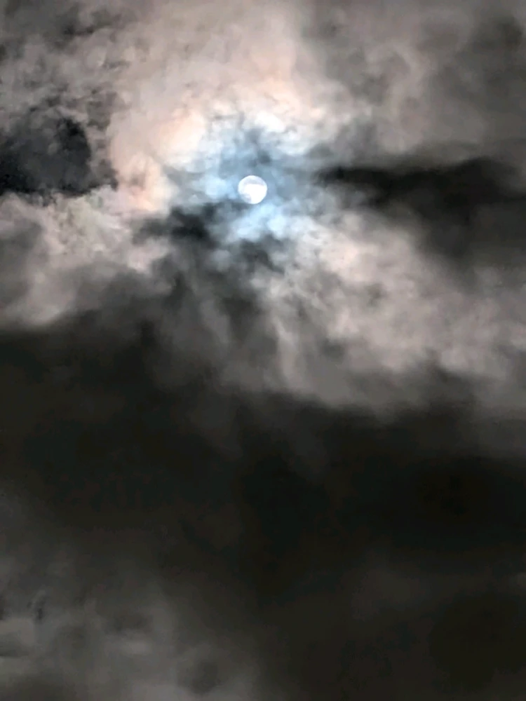 GIF ajouté par Cris