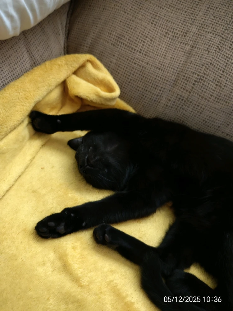 Imagen subida por Msd