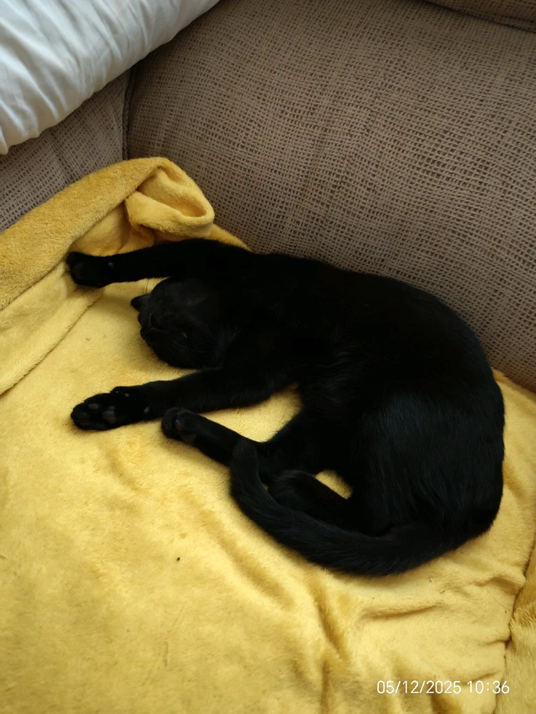 Imagen subida por Msd