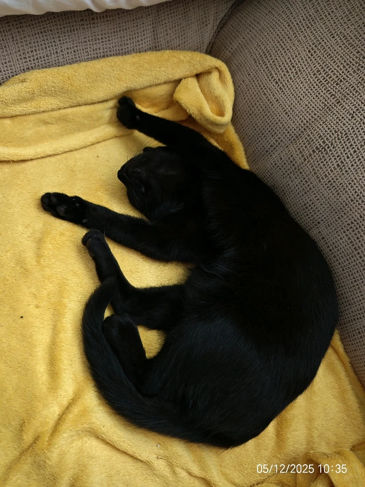 Imagen subida por Msd