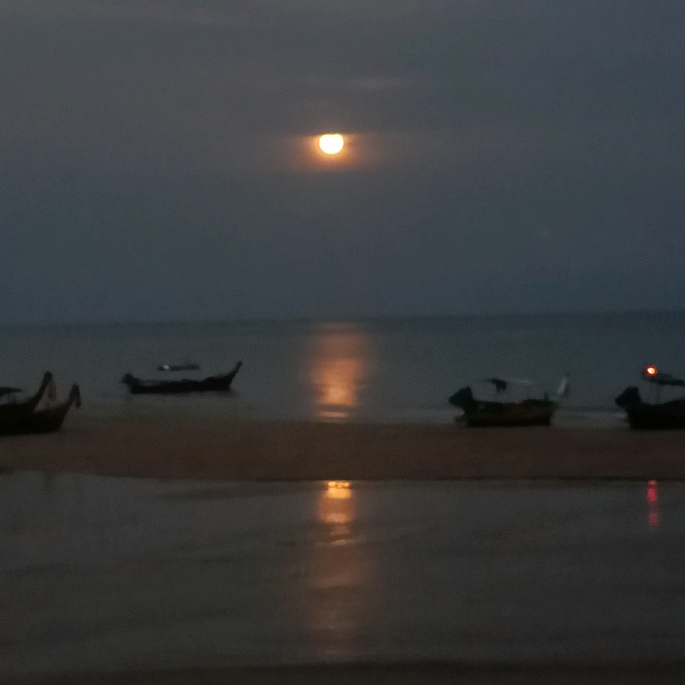 GIF อัปโหลดโดย Hasana