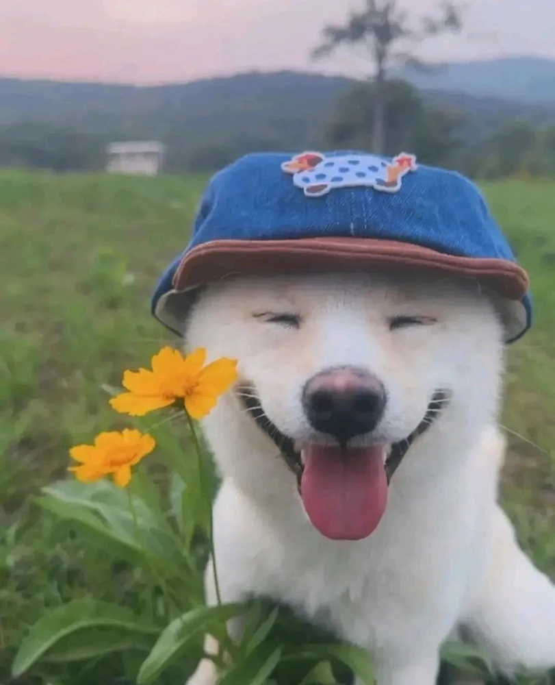 GIF uploaded by Tanmay