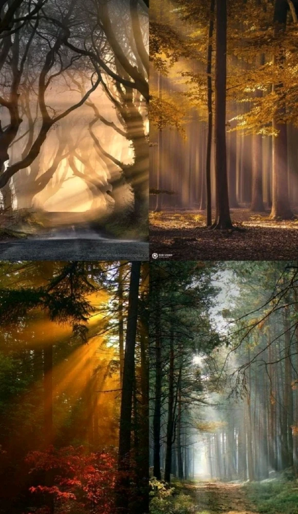 GIF ajouté par Saffiya