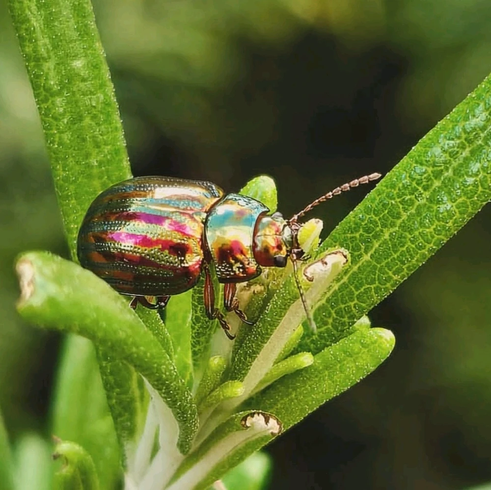 Image uploaded by Marissa