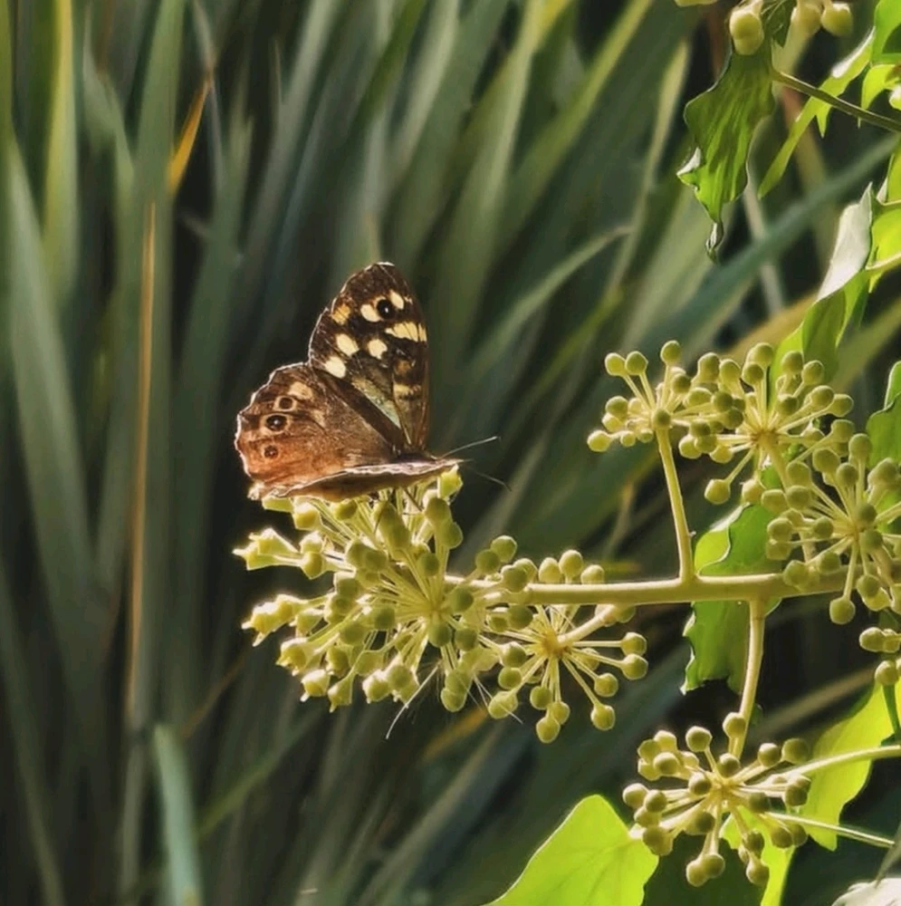 Image uploaded by Marissa