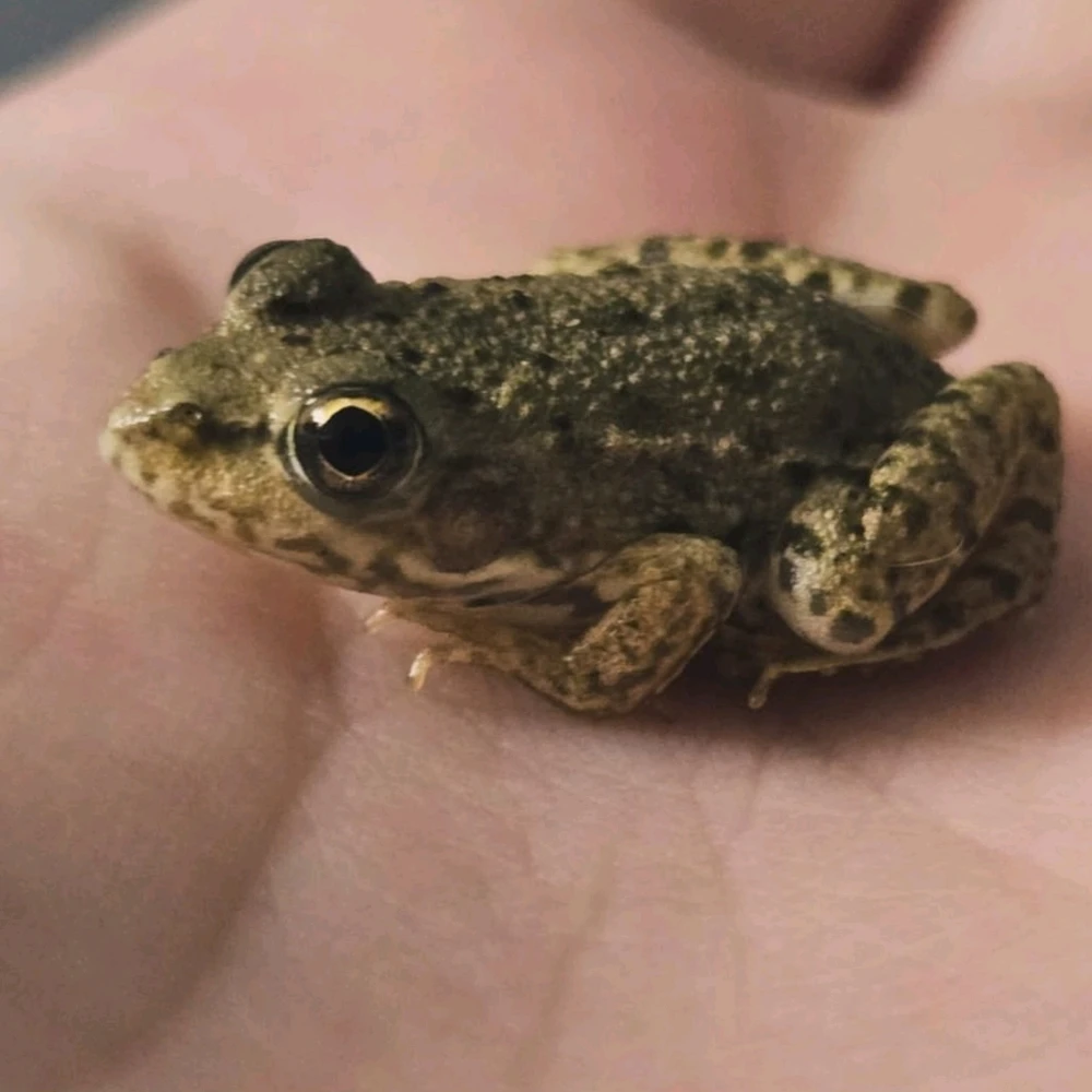 Image uploaded by Marissa