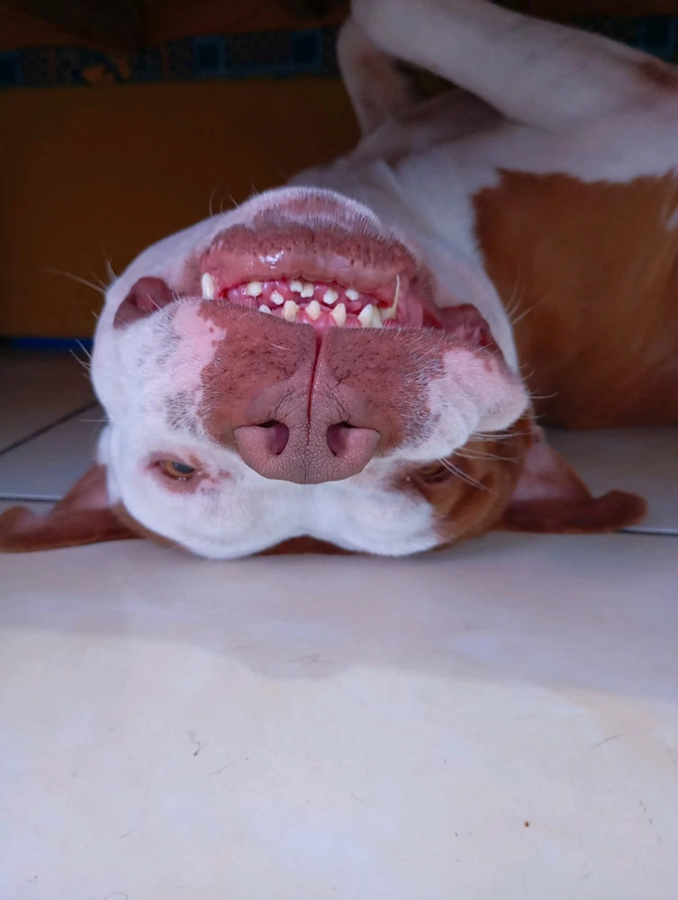 GIF enviado por Tami